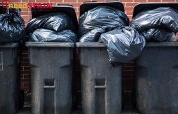Программа раздельного сбора мусора в Барселоне не приносит ожидаемых результатов